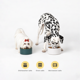 Buy 1 Get 1 Ceramic Pet Bowls