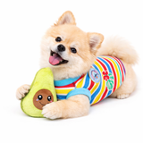Dog Plush Toy - Avocado