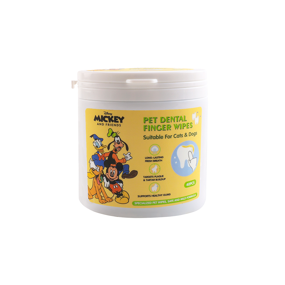 Dental Wipes - Mickey & Friends