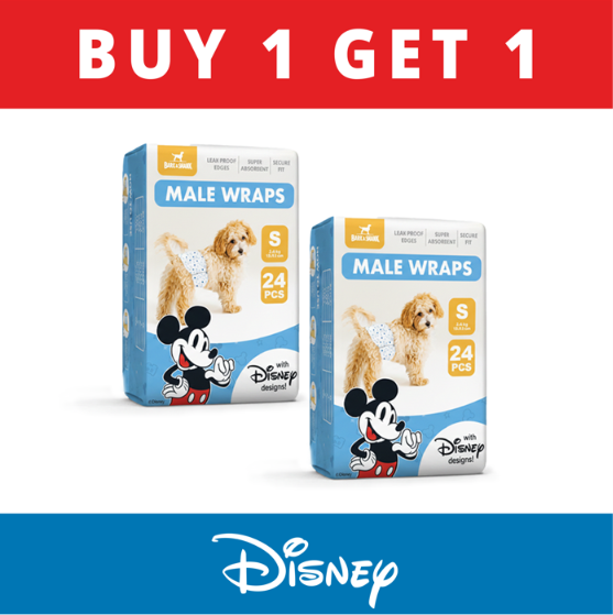 Official Disney Mickey Mouse Male Dog Wrap (BUY 1 GET 1)