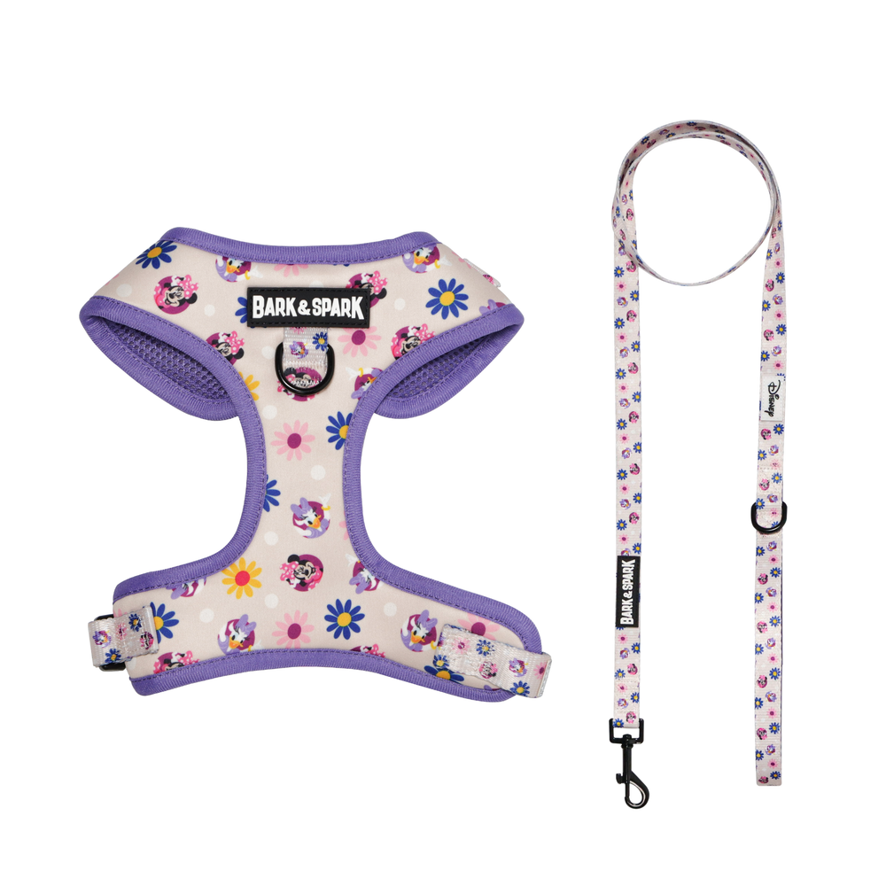 Official Disney Mickey & Friends (Flower Power)  Dog Harness and Leash Set