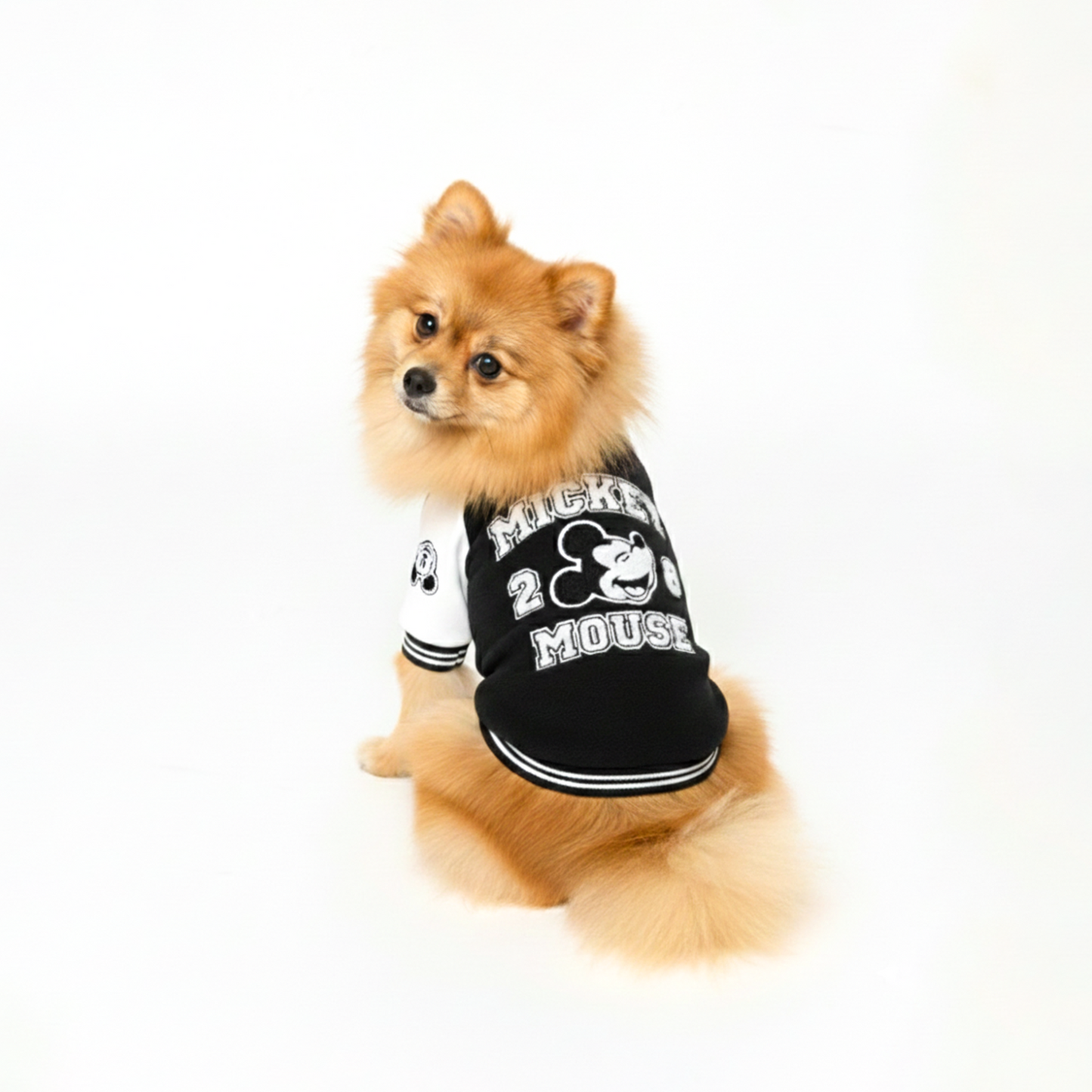 Official Disney Mickey Varsity Jacket