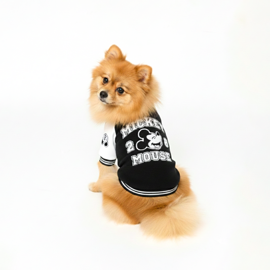 Official Disney Mickey Varsity Jacket