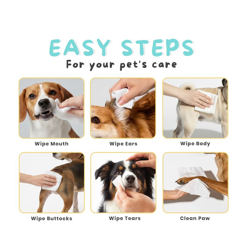 Official Disney Pet Wipes (Coconut Scent)