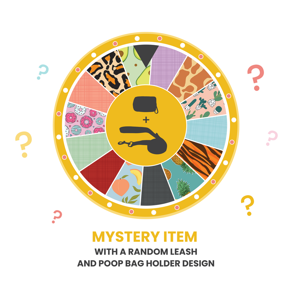 Dog Leash and Poop Bag Holder Set - Mystery