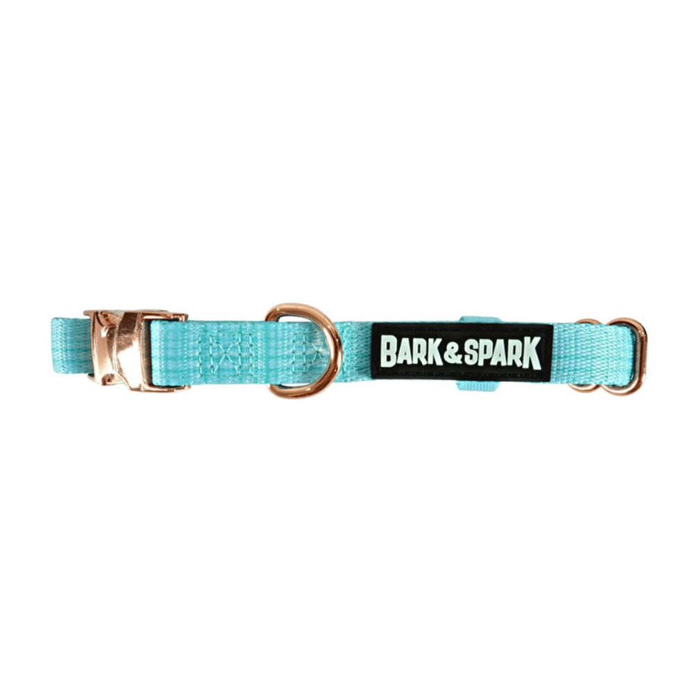 Dog Collar - Powder