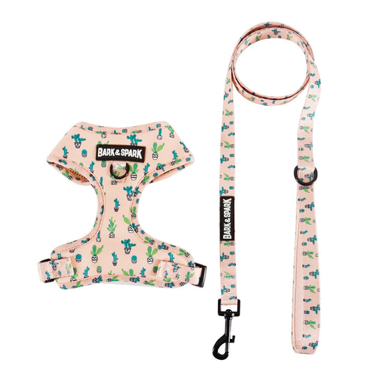 Harness and Leash Set - Prickly Pear