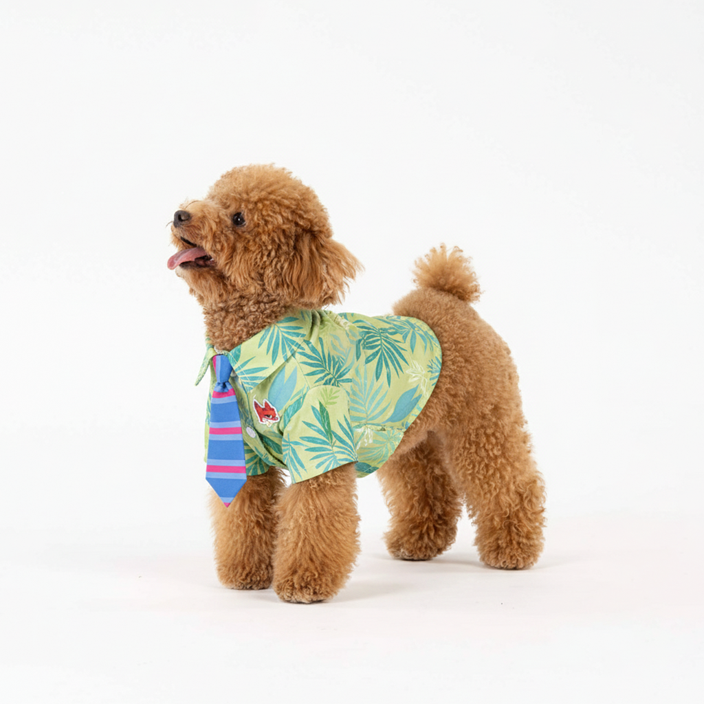 Official Disney  Nick Costume