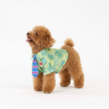 Official Disney  Nick Costume
