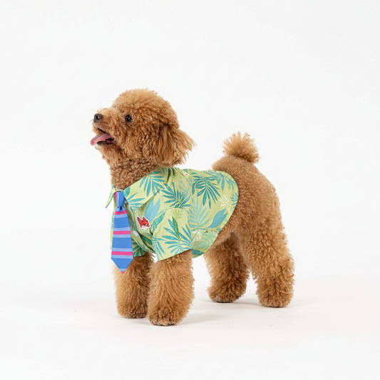 Official Disney  Nick Costume