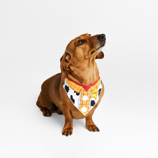 Official Disney Woody Bandana (Toy Story)