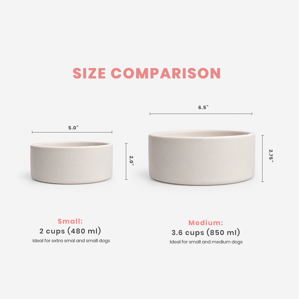 Ceramic Bowl