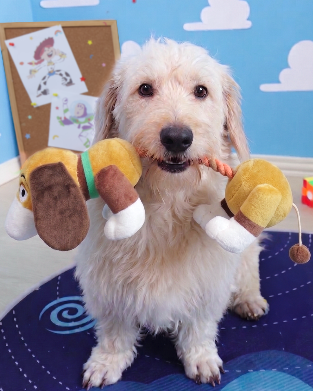 slinky dog