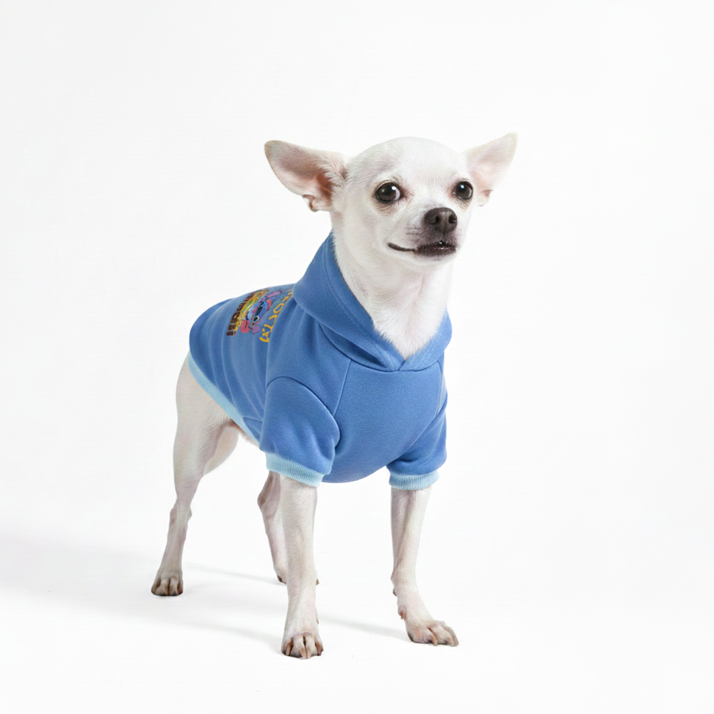 Official Disney  Hoodie Hawaii