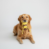 Official Disney  Pooh Rope