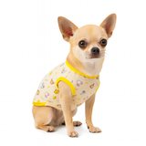 Official Disney  Pooh & Friends Yellow Shirt
