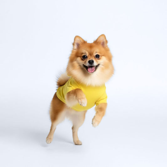 Official Disney  Pooh Shirt