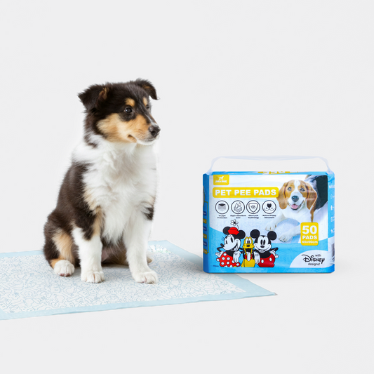 B1G1 Official Disney Pet Training Pads