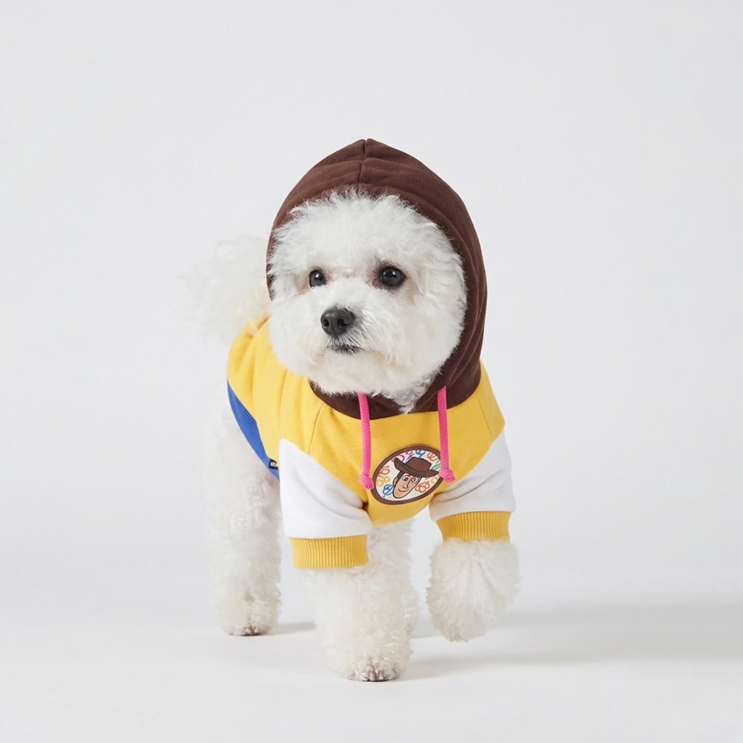 Official Disney Hoodie Woody (Toy Story)