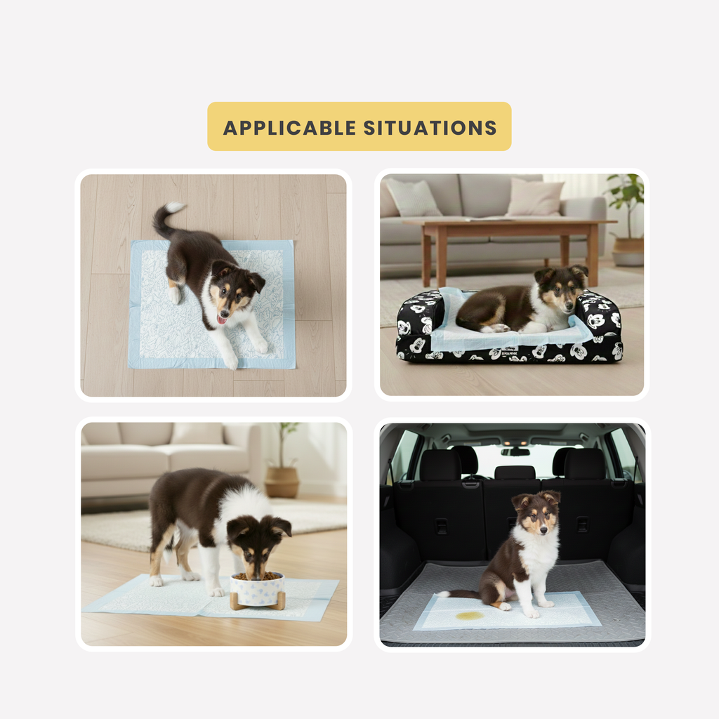 Pet Training Pads